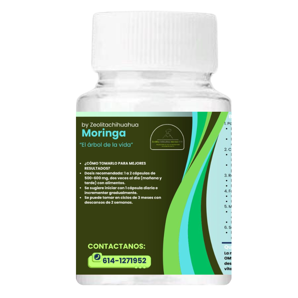 Moringa - 100 Cápsulas